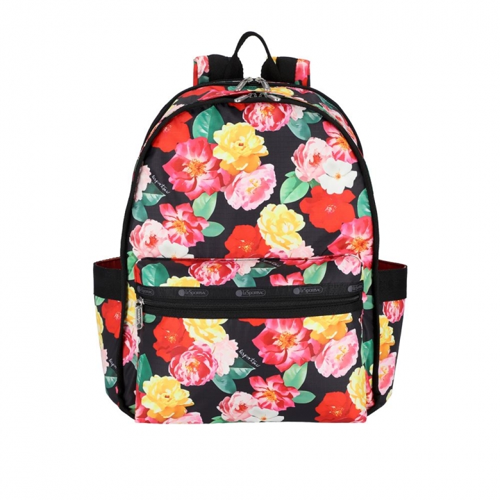 ROUTE BACKPACK健行後背包