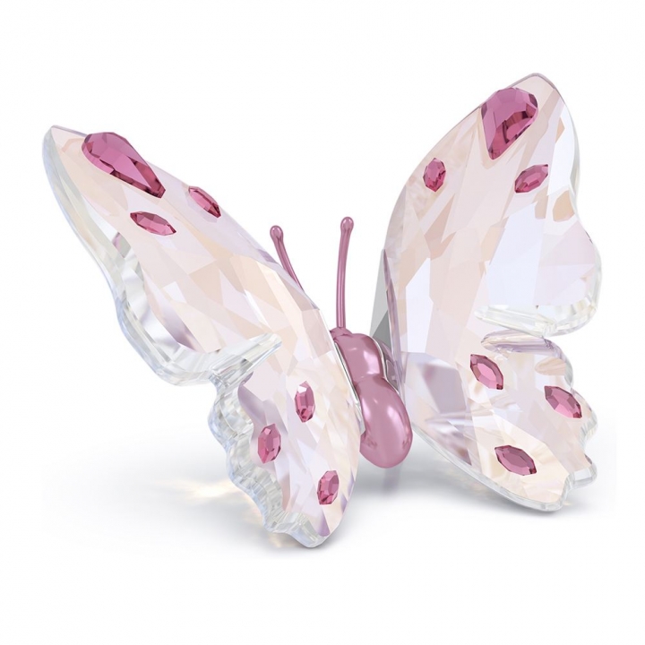 Idyllia Butterfly, SmallIdyllia 蝴蝶 - 小