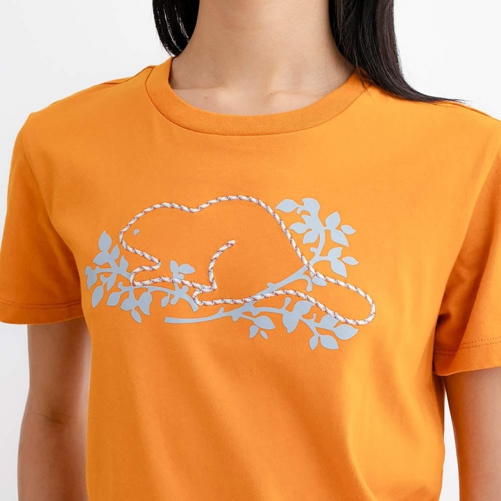 NOVELTY BEAVER T-SHIRTRoots女裝- NOVELTY BEAVER 短袖上衣