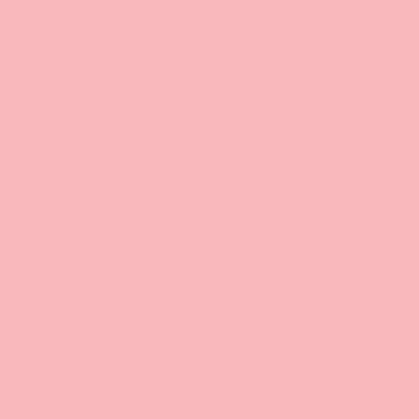 ADDICT LIP MAXIMIZER豐漾俏唇蜜