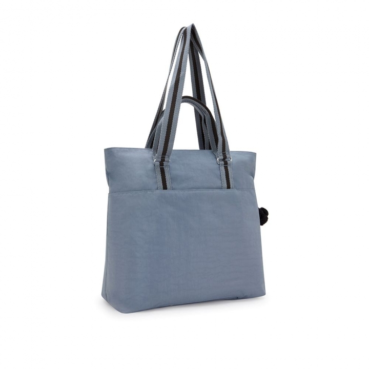 INDIA BLUE STONEINDIA 托特包