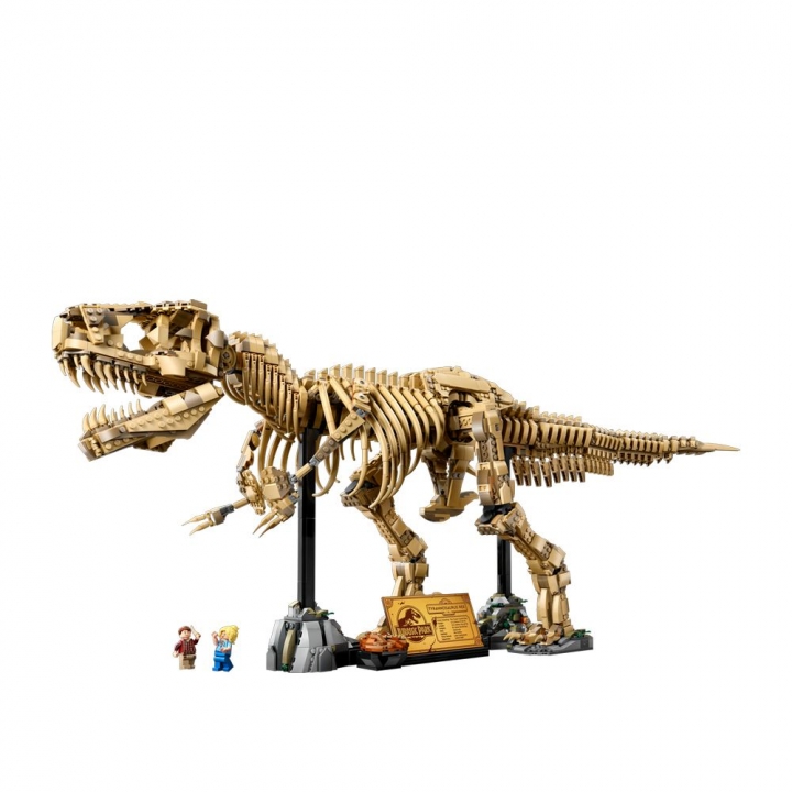 LEGO 樂高 76968 JURASSIC WORLD Dinosaur Fossils: Tyrannosaurus Rex 恐龍化石暴龍