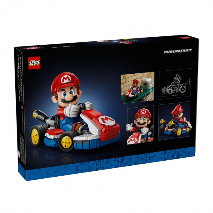 LEGO 樂高 Super Mario系列 72037 Mario & Standard Kart 瑪利歐賽車＆標準車
