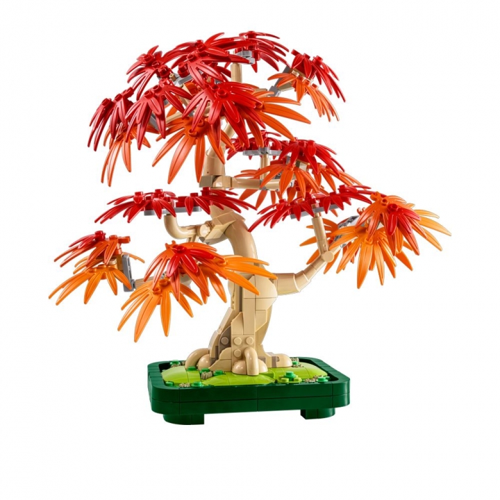 LEGO 樂高 Botanicals系列 10348 日本紅楓盆景