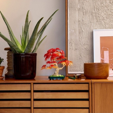 LEGO 樂高 Botanicals系列 10348 日本紅楓盆景