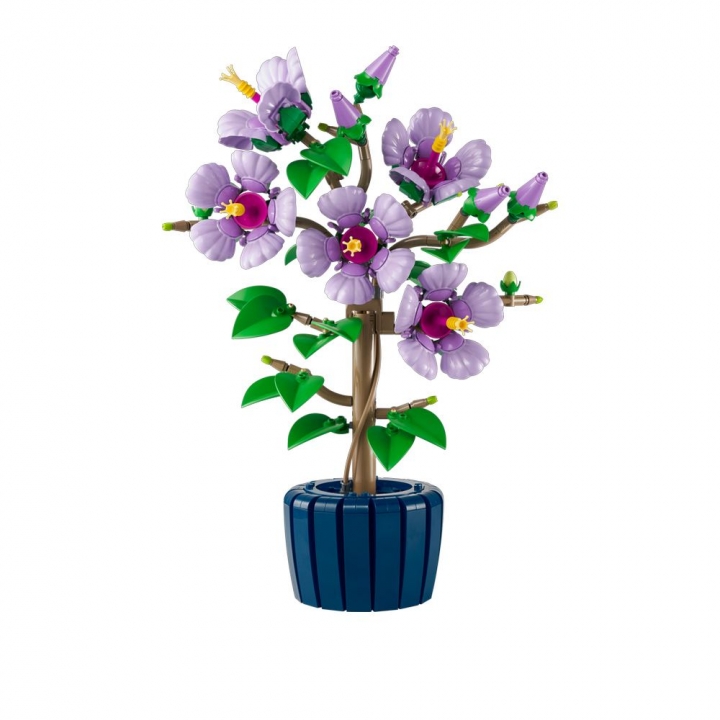 LEGO 樂高 Icons系列 10372 芙蓉