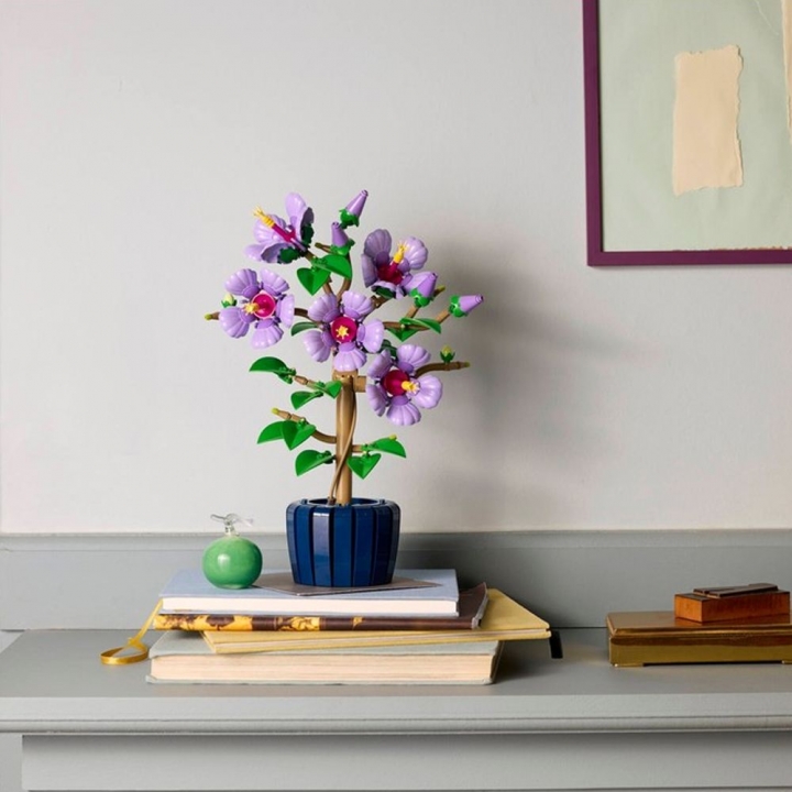 LEGO 樂高 Icons系列 10372 芙蓉