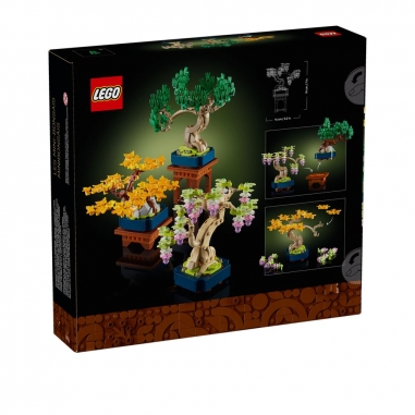 LEGO 樂高 Botanicals系列 10373 迷你盆景