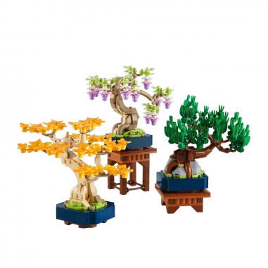 LEGO 樂高 Botanicals系列 10373 迷你盆景