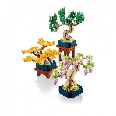 LEGO 樂高 Botanicals系列 10373 迷你盆景