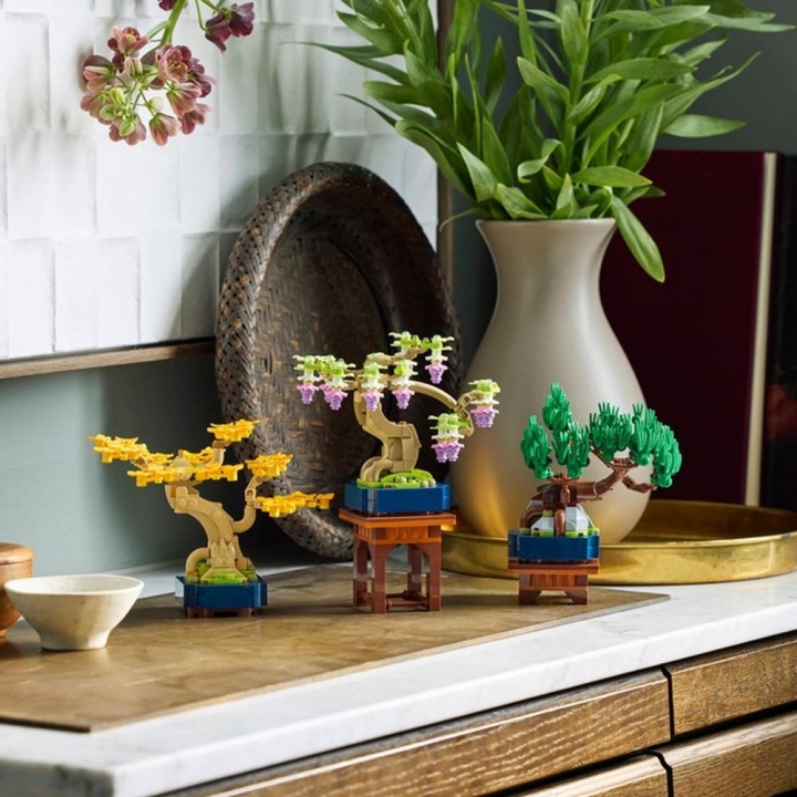 LEGO 樂高 Botanicals系列 10373 迷你盆景