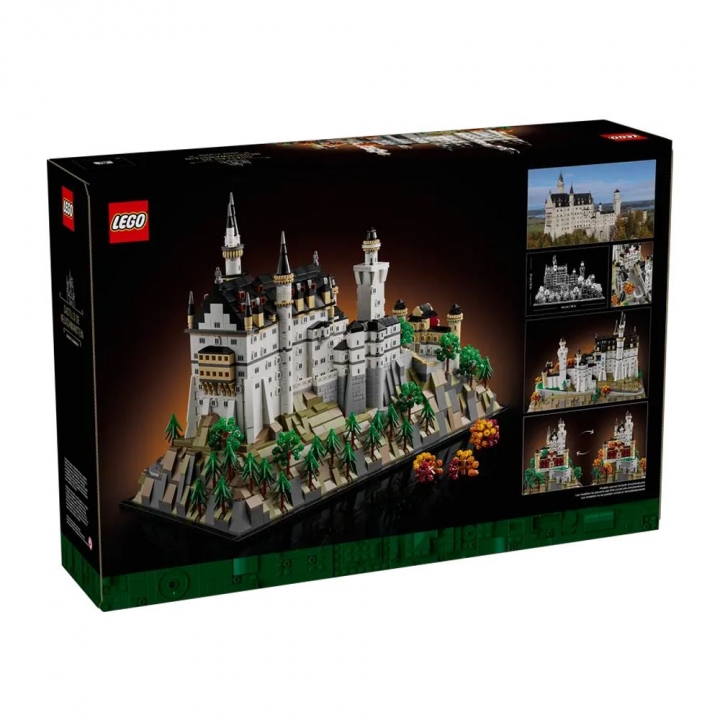 LEGO 樂高 21063 新天鵝堡