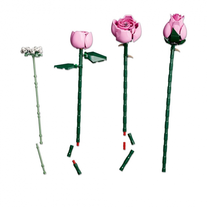 LEGO 樂高 Botanical Collection系列 10374 粉紅玫瑰花束