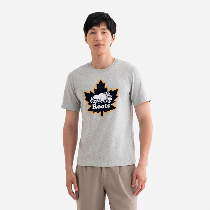 MODERN CLASSIC SLIM T-SHIRTRoots男裝-MODERN CLASSIC SLIM 短袖上衣