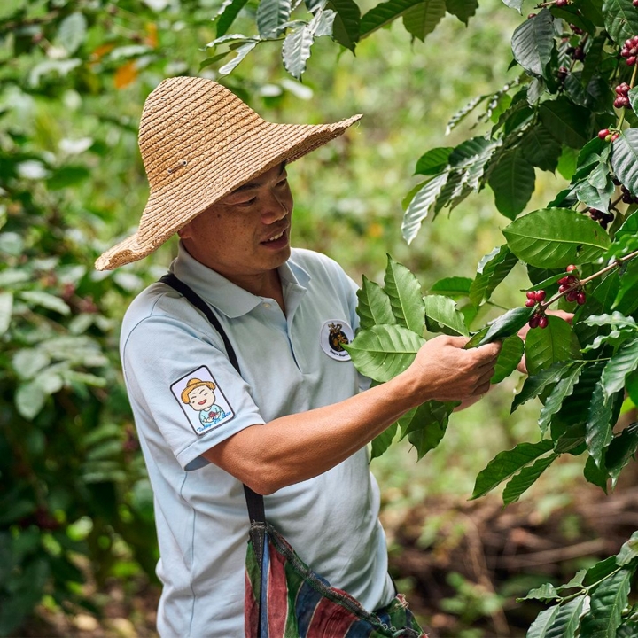 豆御香藝伎莊園咖啡豆【限11/13會場領取】