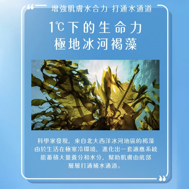 Dr.Morita - 森田藥粧|極地冰河高效補水面膜組 25片入_84633-266603_大圖