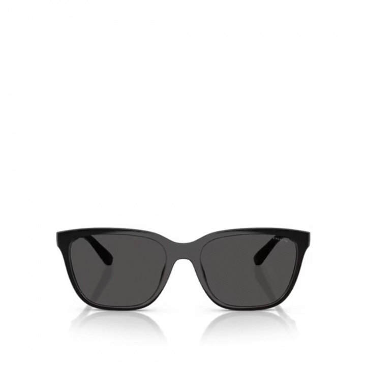 Sunglasses太陽眼鏡
