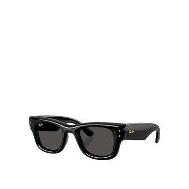 RayBan雷朋 太陽眼鏡