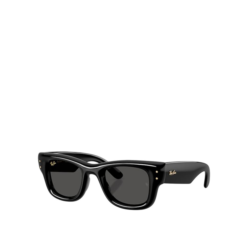 RayBan 太陽眼鏡
