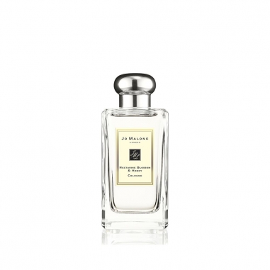 Nectarine Blossom & Honey Cologne杏桃花與蜂蜜香水