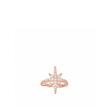 APM MonacoAPM Monaco METEORITES ROSEII耳環