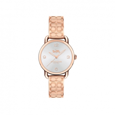 Coach蔻馳(精品) DELANCEY腕錶
